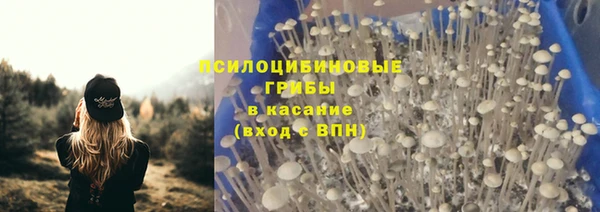 ПСИЛОЦИБИНОВЫЕ ГРИБЫ Кинешма