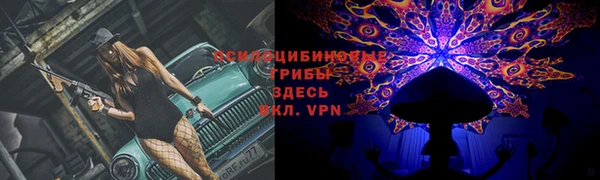 spice Киренск