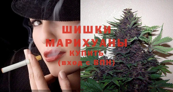 spice Киренск