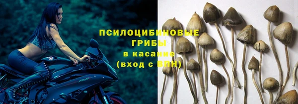 ПСИЛОЦИБИНОВЫЕ ГРИБЫ Кинешма