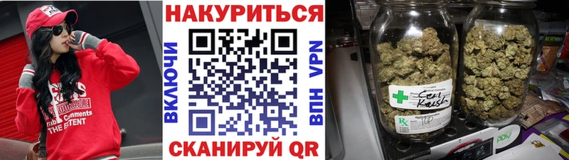 Бошки Шишки гибрид  Купить  Талица 